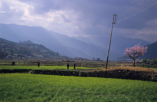 bhutan-paro