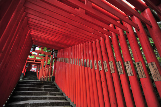 taikodani-inari-jinjya2