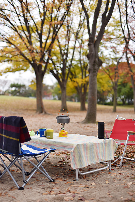 プリムスのバーナーでお茶