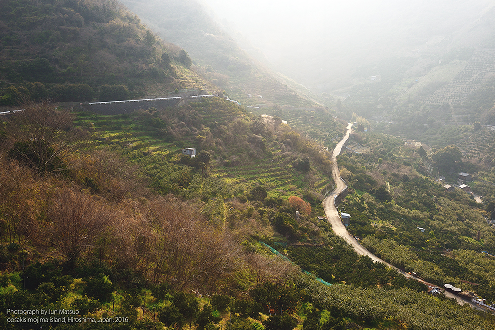大崎下島の大長地区