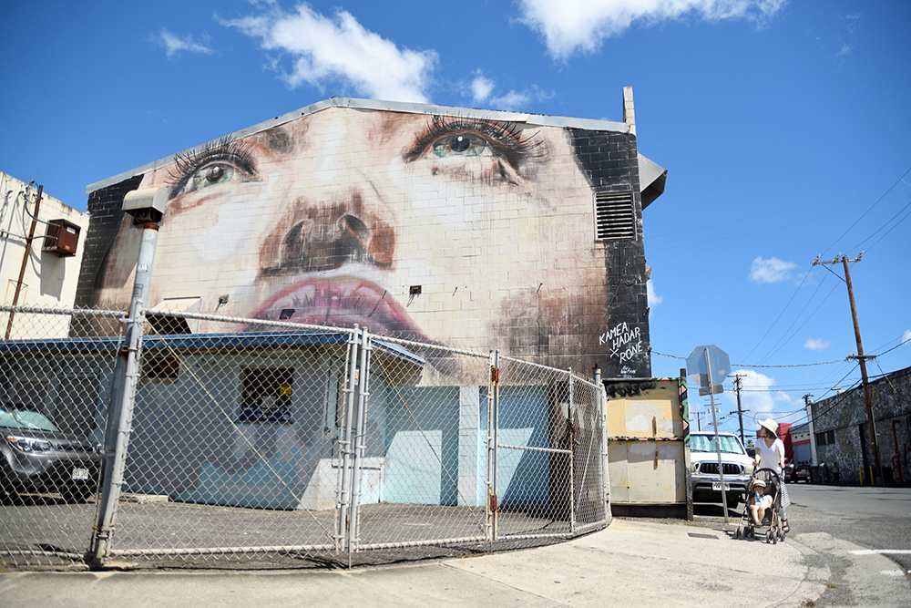 ハワイのカカアコ地区のグラフ01