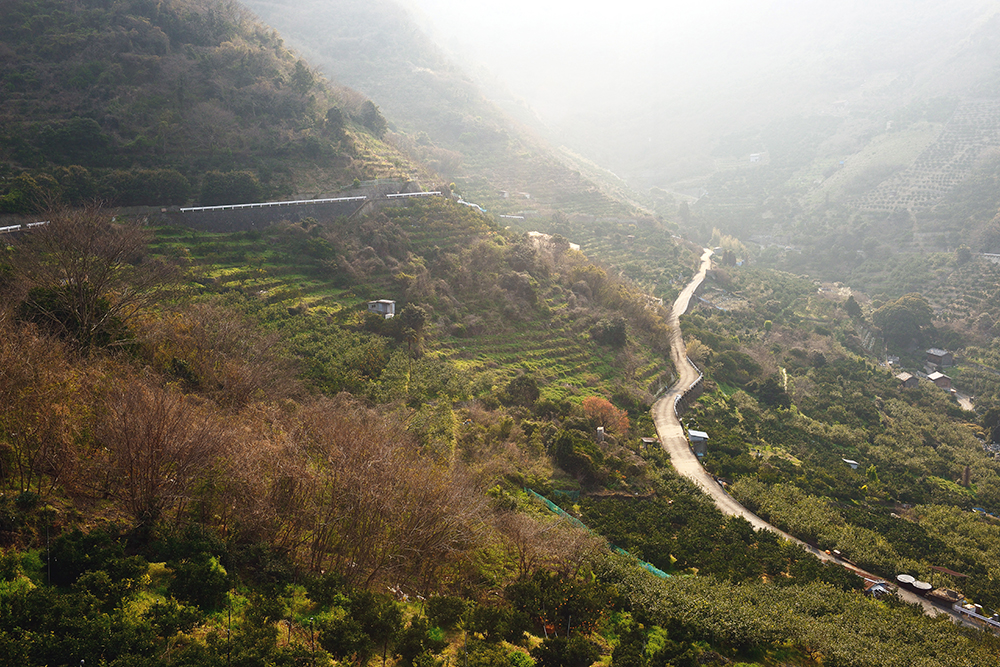 大崎下島の大長地区