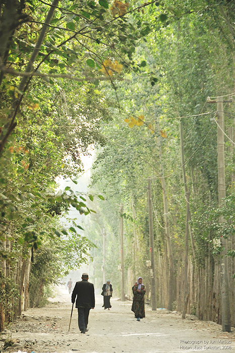 ホータンのポプラ並木