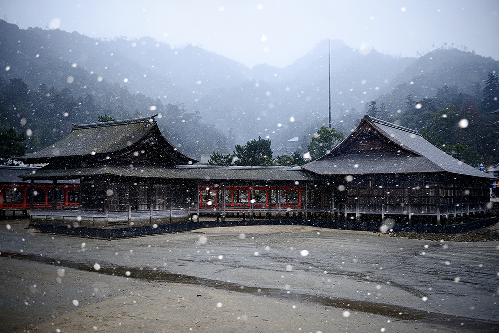 雪の宮島
