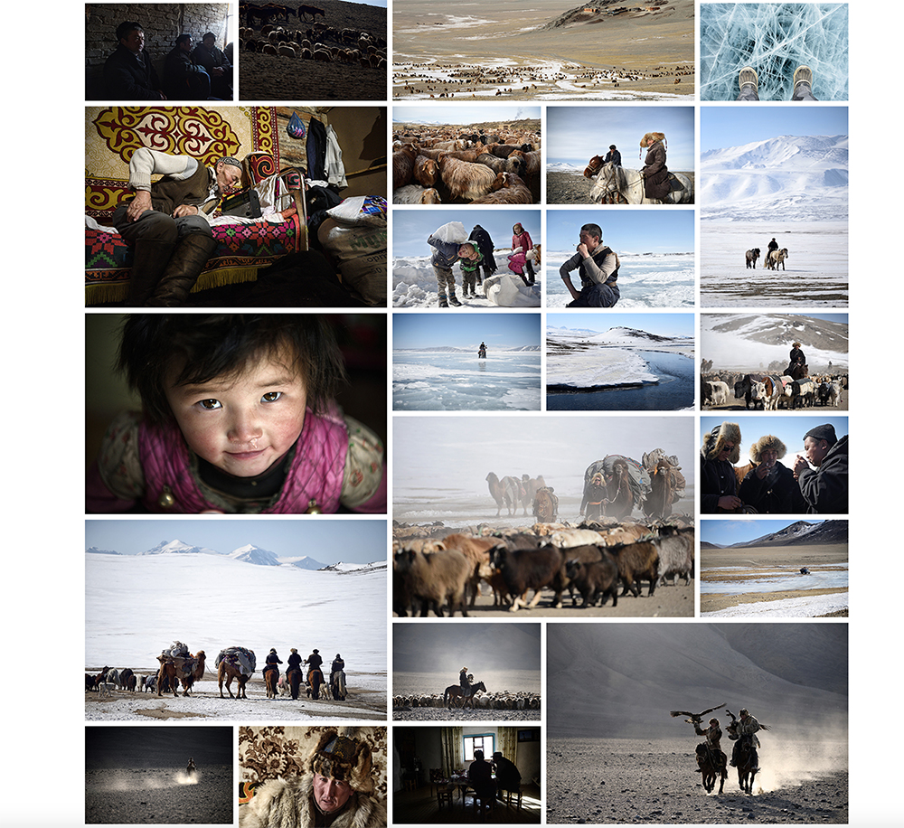 モンゴルの写真